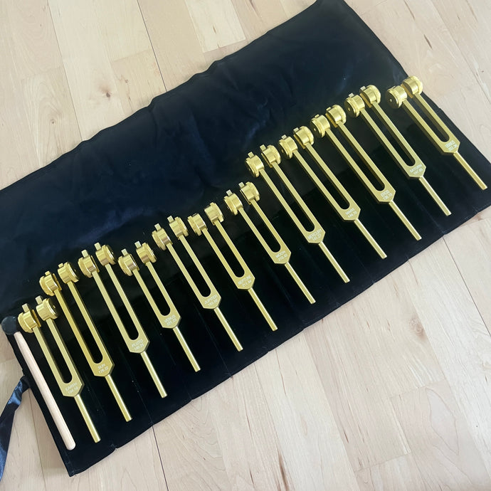 12 Weighted Planetary Tuning Forks with Velvet Pouch and Mallet + BONUS Chiron Fork