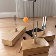 Load image into Gallery viewer, Acoustic Resonance Demonstration Set