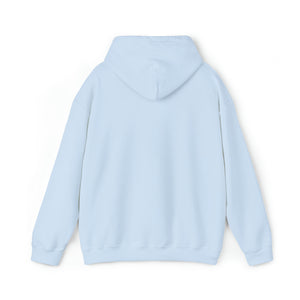 Certified Crystal and Sound Healer Hoodie