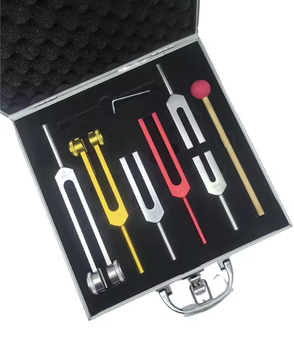 6pcs Heaven and Earth Tuning Fork Set + FREE Case, Mallet and Wrench