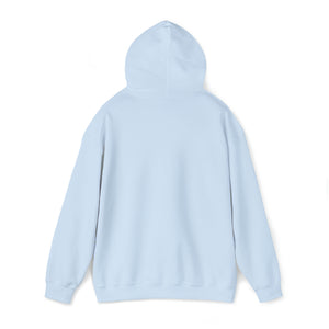 Certified Crystal and Sound Healer Hoodie
