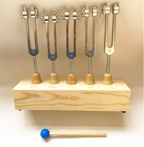 5 pc Binaural Brainwave Weighted Tuning Fork Set with Resonance Box