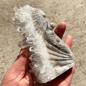 Natural Crystal Cluster Quartz Mermaid - Hand Carved