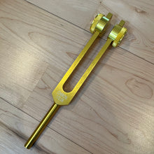 Load image into Gallery viewer, 13 Weighted Planetary Tuning Forks with Velvet Pouch and Mallet (BONUS Chiron Fork)
