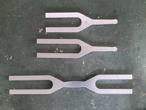 Huge Single and Double-Sided Tuning Forks + FREE Mallet, Velvet Holder, and Carrying Case