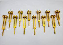 Load image into Gallery viewer, 12 Weighted Planetary Tuning Forks with Velvet Pouch and Mallet + BONUS Chiron Fork