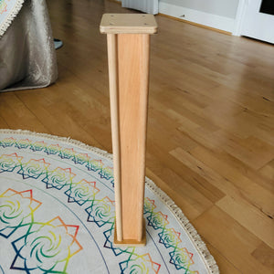 Hands Free Rain Stick (up to 30 seconds) + FREE CASE