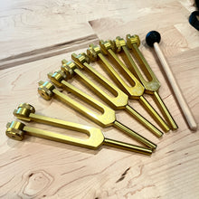 Load image into Gallery viewer, 5 pc Binaural Brainwave Tuning Fork Set with Velvet Pouch and Mallet