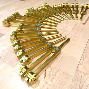 15 pc Human Organ Tuning Fork Set with Velvet Pouch and Mallet