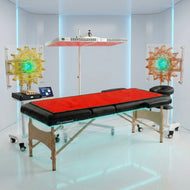 Qi Coil™ Aura Ultimate Medbed System + Resonant Console Advanced + Red Light Panels + Mat