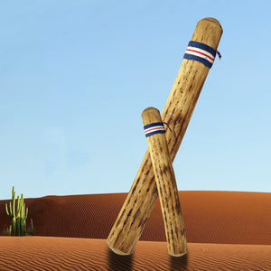 Cactus Rain Stick