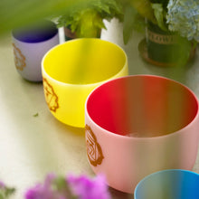 Load image into Gallery viewer, 6-12 Inch 7 Chakra Quartz Crystal Singing Bowl Set - Colored Chakra Design + 2 FREE Carrying Cases