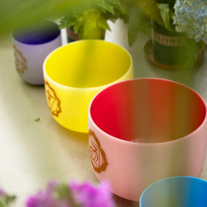 6-12 Inch 7 Chakra Quartz Crystal Singing Bowl Set - Colored Chakra Design + 2 FREE Carrying Cases