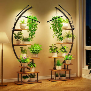 1pc, 7 Tier Half Moon Multi-layered Instrument Display Shelf with Lights