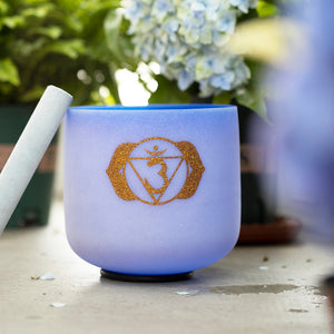 6-12 Inch 7 Chakra Quartz Crystal Singing Bowl Set - Colored Chakra Design + 2 FREE Carrying Cases