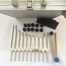 Load image into Gallery viewer, 10pcs Unweighted Solfeggio Tuning Fork Set + FREE Aluminum Case, Bonus 432 hz Fork