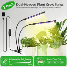 Load image into Gallery viewer, 1pc, 7 Tier Half Moon Multi-layered Instrument Display Shelf with Lights