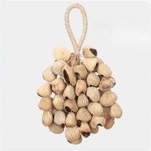 Load image into Gallery viewer, Nut Shell Hand Bells