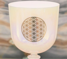 Load image into Gallery viewer, 432hz Flower of Life Crystal Singing Chalice + FREE Mallet and Carrying Case