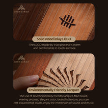 Load image into Gallery viewer, 17/31 Strings Fingerplay Kalimba Lyre Harp Chromatic Thumb Piano