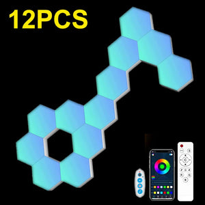 46245396513001