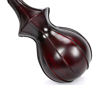 Load image into Gallery viewer, Dramyin Six-String Tibetan Instrument + FREE Carrying Bag