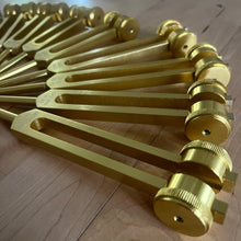 Load image into Gallery viewer, 13 Weighted Planetary Tuning Forks with Velvet Pouch and Mallet (BONUS Chiron Fork)