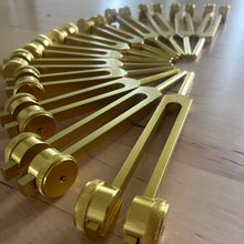 Load image into Gallery viewer, 13 Weighted Planetary Tuning Forks with Velvet Pouch and Mallet (BONUS Chiron Fork)