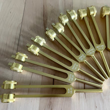 Load image into Gallery viewer, 13 Weighted Planetary Tuning Forks with Velvet Pouch and Mallet (BONUS Chiron Fork)