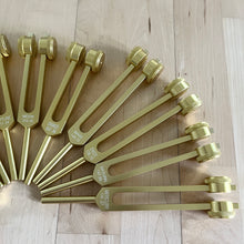 Load image into Gallery viewer, 13 Weighted Planetary Tuning Forks with Velvet Pouch and Mallet (BONUS Chiron Fork)