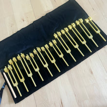 Load image into Gallery viewer, 13 Weighted Planetary Tuning Forks with Velvet Pouch and Mallet (BONUS Chiron Fork)