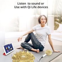 Load image into Gallery viewer, Resonant Console Advanced (Advanced Health &amp; Wellness) - Qi Life Store 