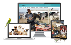 Sound Healing for Animals (PRE-SALE)
