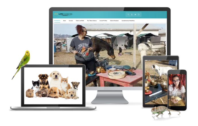 Sound Healing for Animals (PRE-SALE)