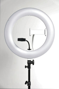 Icon on the Go - Lighting Kits for Sound Baths and Social Media