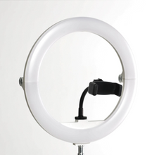 Load image into Gallery viewer, Icon on the Go - Lighting Kits for Sound Baths and Social Media