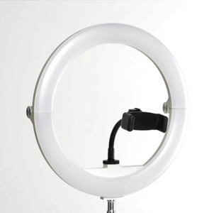 Icon on the Go - Lighting Kits for Sound Baths and Social Media