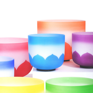7-12" Colored Rim Lotus Bowl Set + FREE GIFTS