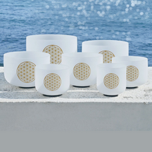 Load image into Gallery viewer, 7 Flower of Life White Quartz Crystal Singing Bowl (6-12&quot;)  + 2 FREE Carrying Cases