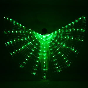 LED Wing Lights