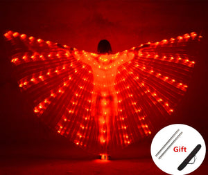 LED Wing Lights