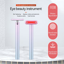 Load image into Gallery viewer, LED Facial Massager