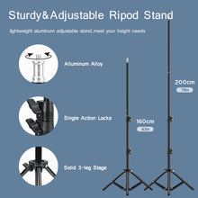 Load image into Gallery viewer, Softbox Lighting Lights with Tripod (No Bulb)