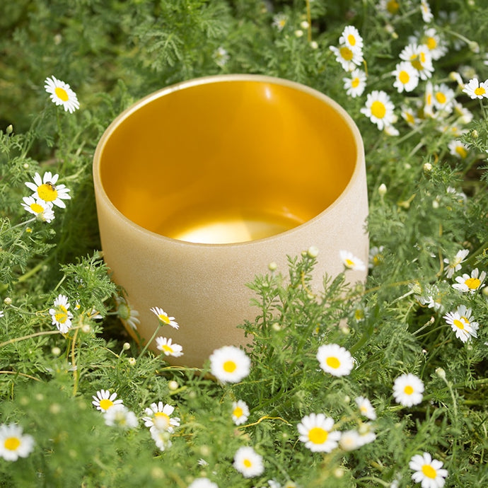 8 Inch Gold Color Frosted Quartz Crystal Singing Bowl + FREE Mallet and O-ring