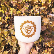 Load image into Gallery viewer, 7 Golden Chakra Quartz Crystal Singing Bowl  + 2 FREE Carrying Cases